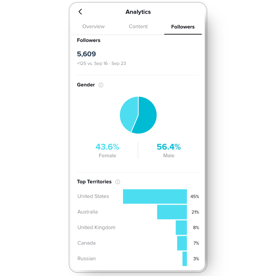 social media marketing tiktok social media marketing tiktok